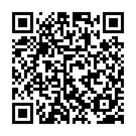 QR code for DZU 295