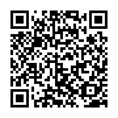QR code for DZV 308