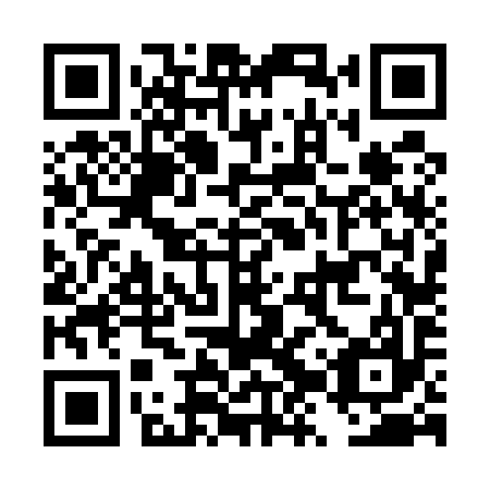 QR code for plate DZV 597