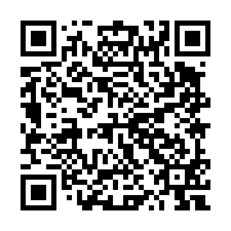 QR code for DZY 491