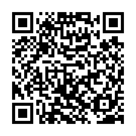 QR code for DZY 615