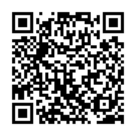 QR code for DZY 711