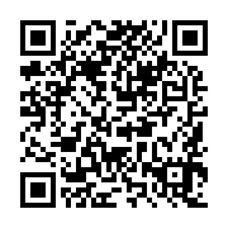 QR code for DZY 995