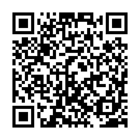 QR code for DZZ 290