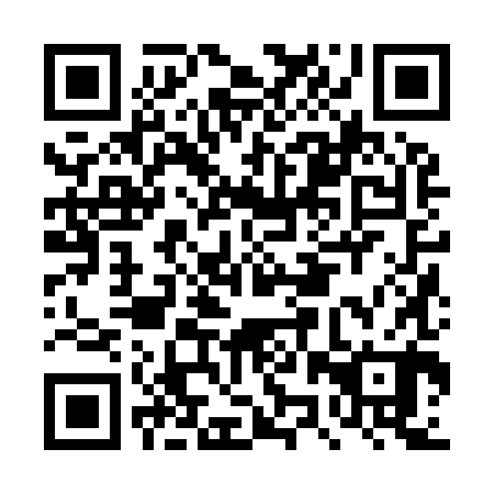 QR code for DZZ980