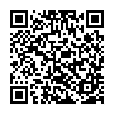 QR code for EAN 383