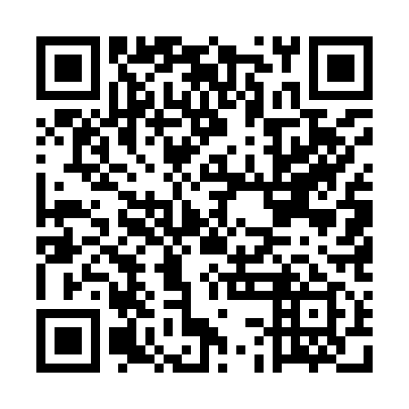 QR code for ECE 919