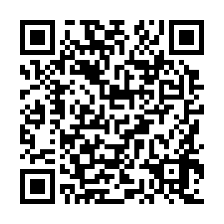 QR code for plate ECH 398