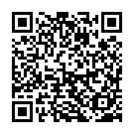 QR code for plate ECJ 500