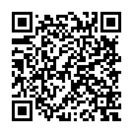 QR code for plate ECX 868