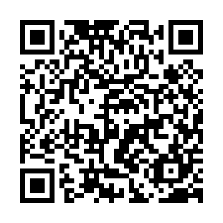 QR code for plate EEE 004