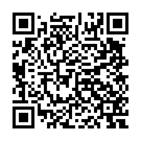 QR code for plate EFC 453