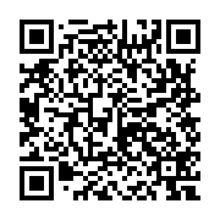 QR code for EFG919