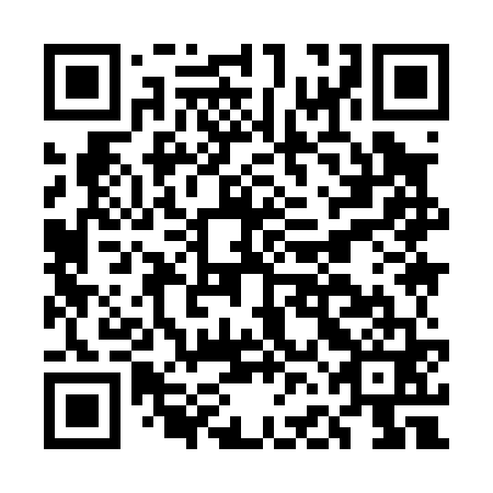 QR code for plate EFI 061