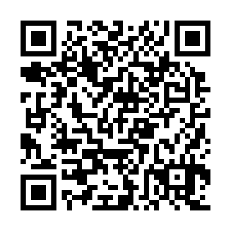 QR code for plate EFJ 334