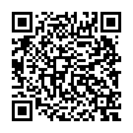 QR code for plate EFL 620