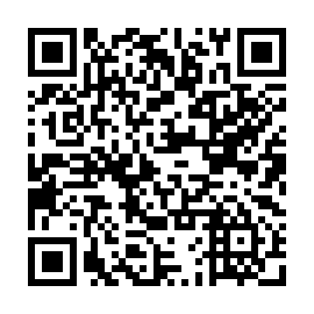 QR code for plate EFX 395