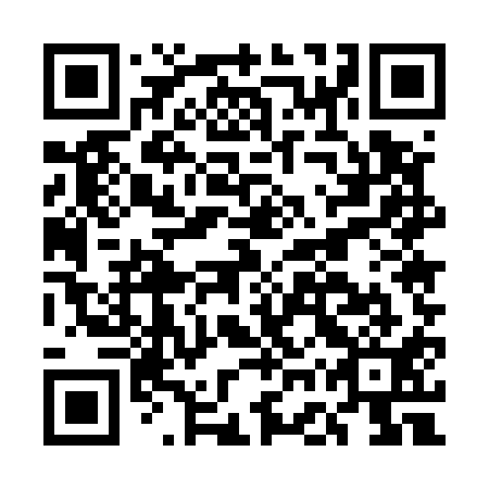 QR code for EGU 511