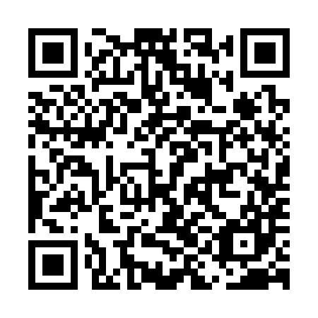 QR code for plate EIC 387