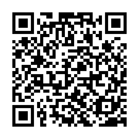 QR code for EIS 971