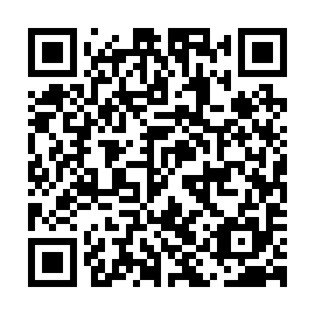 QR code for EIU 295
