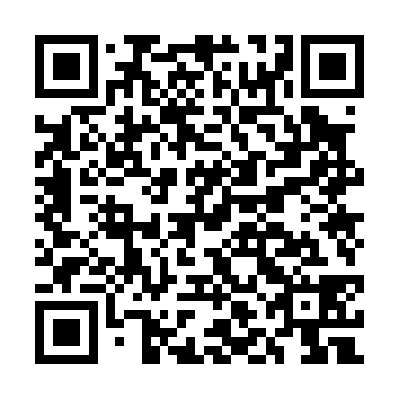 QR code for ELO038
