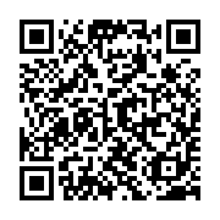 QR code for EMS991