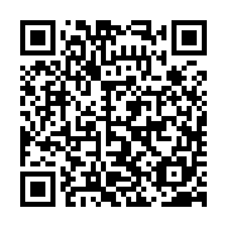 QR code for plate ENR 955