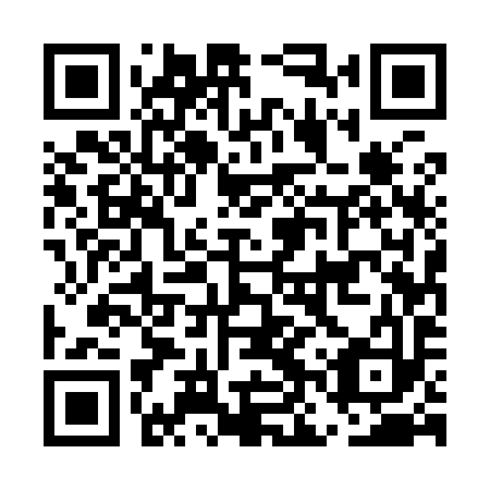 QR code for plate ENU 993