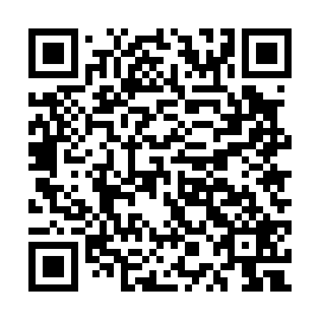 QR code for EPE 029