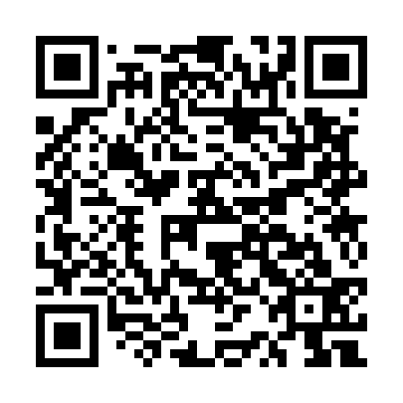 QR code for ERC533