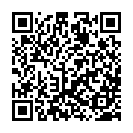 QR code for plate ERP 382