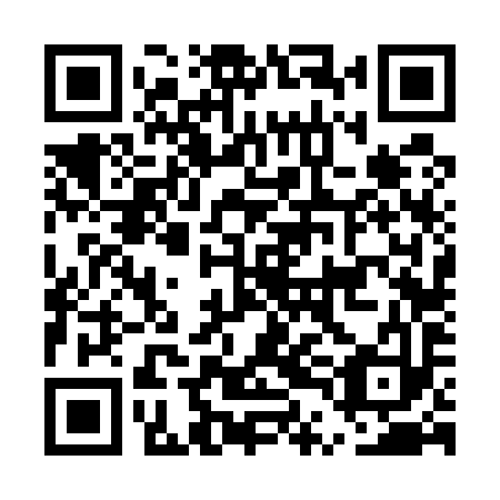 QR code for ETF 593