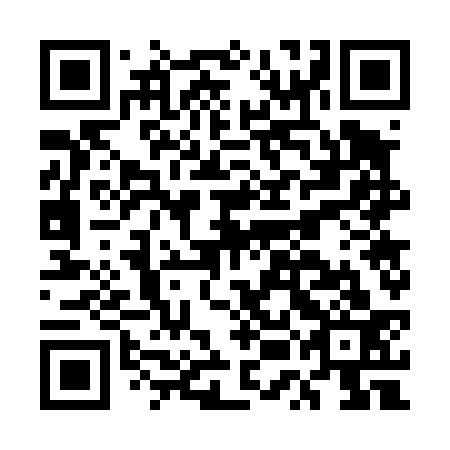 QR code for plate EUG 433