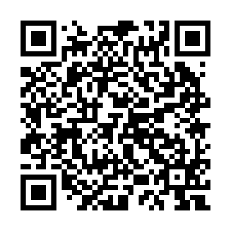 QR code for EUQ 295
