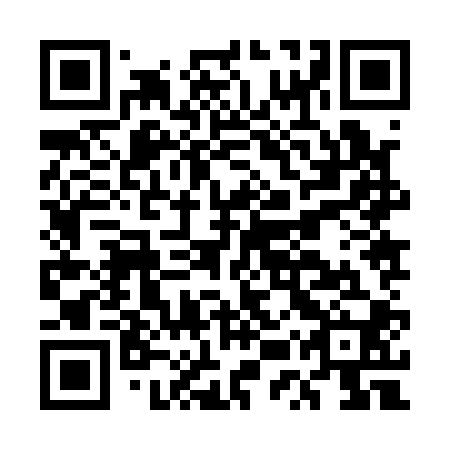QR code for plate EUZ 100