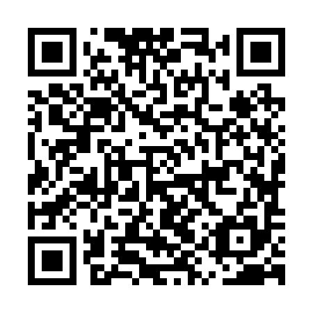 QR code for EYZ 295