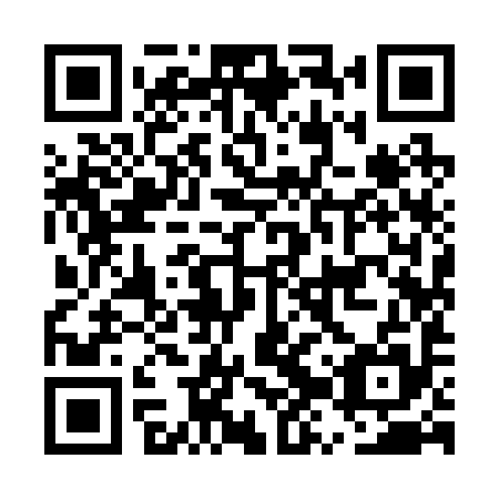 QR code for EZY 295