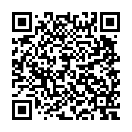 QR code for plate FAG 496