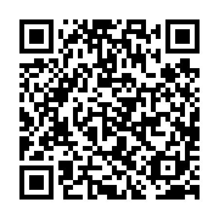 QR code for plate FAP 691