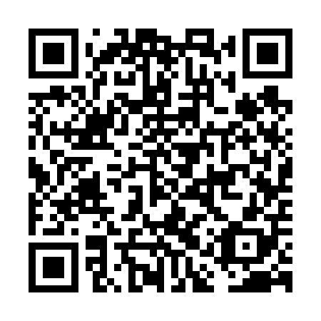 QR code for plate FAS 608