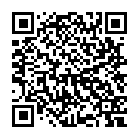 QR code for FBO 133
