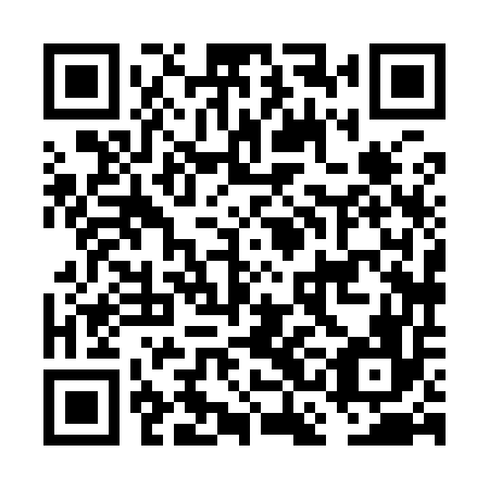 QR code for plate FCH 956