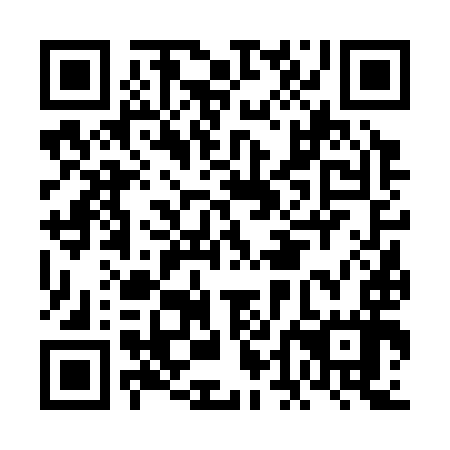 QR code for FDF 397