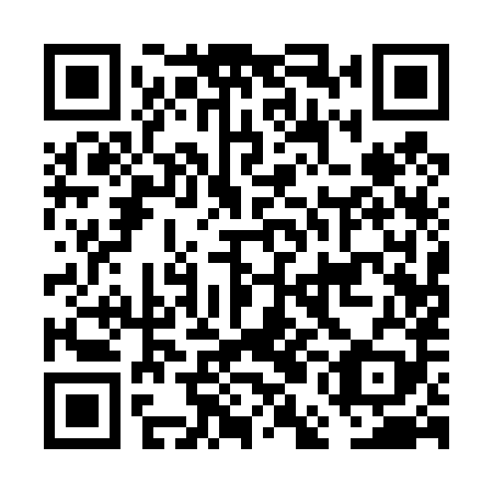 QR code for FEA 489