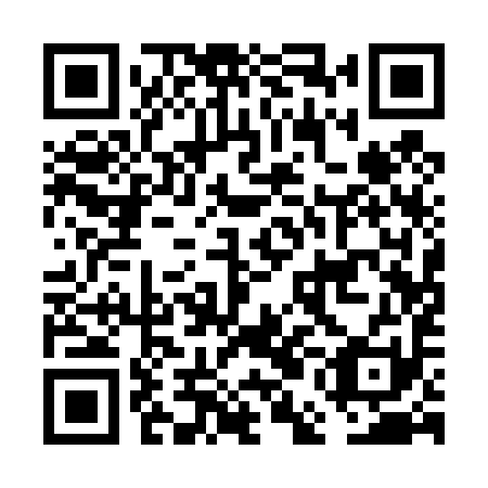QR code for plate FEA 491
