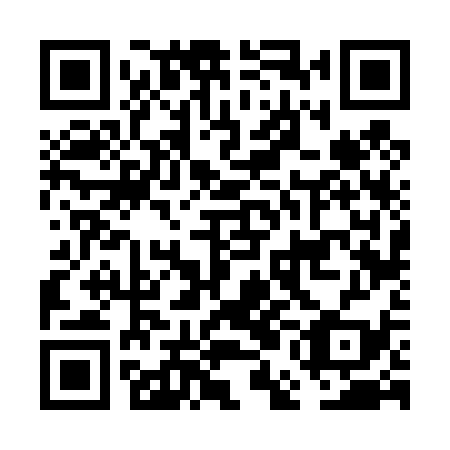QR code for FEF 439