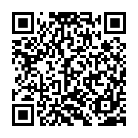QR code for FEI117