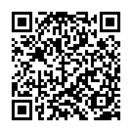 QR code for FEI141
