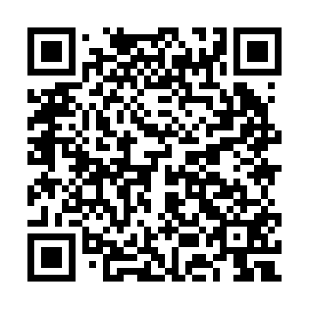 QR code for FEI251